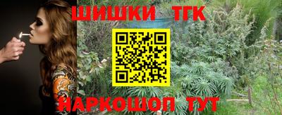 стафф Заволжье