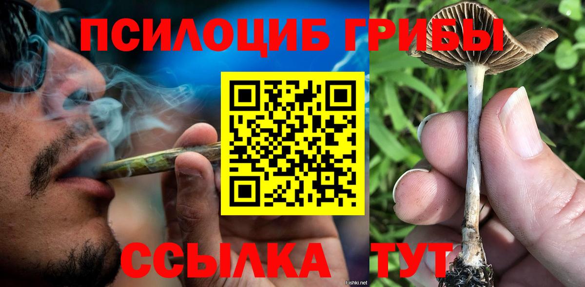 Псилоцибиновые грибы Psilocybe Медногорск